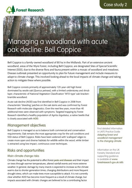File:Managing a woodland with acute oak decline Bell Coppice.jpg