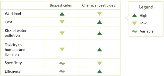 Neem ComparatifGB.jpg