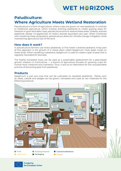 File:Paludiculture Where Agriculture Meets Wetland Restoration.jpg