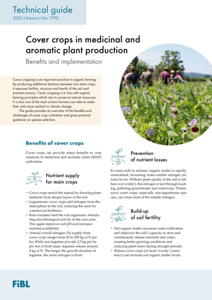 File:Cover crops in medicinal and aromatic plant production.jpg