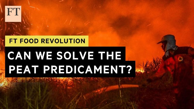 File:Thumbnail youtube I3RV-kLGMZo.jpg