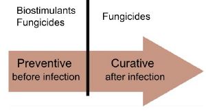 BOOST Biocontrol.jpg