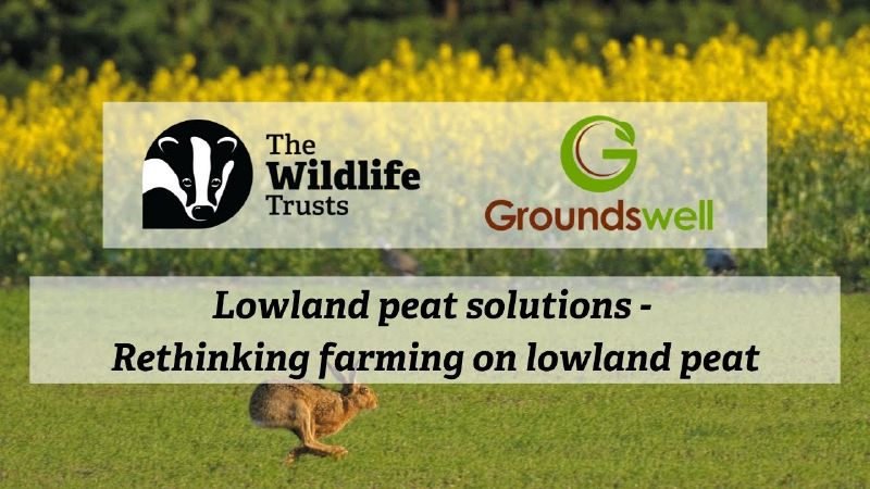 File:Thumbnail youtube YNbVcQcLtJA.jpg