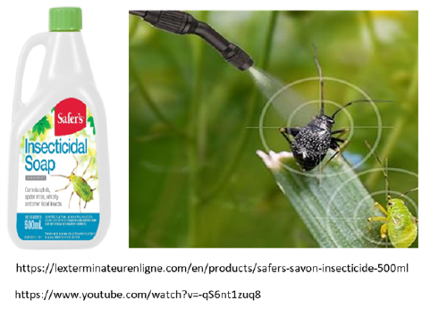 Insecticidal soap.png